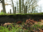 oude Algemene Begraafplaats